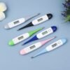 Digital Clinical Thermometer