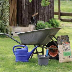 Home & Garden